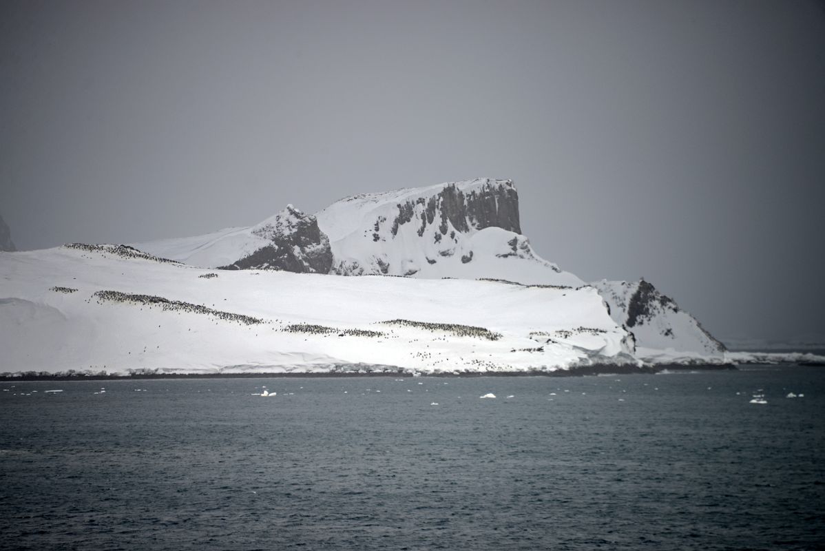 02 Our First View Of Penguin Colonies On Aitcho Barrientos Island In South Shetland Islands From Quark Expeditions Antarctica Cruise Ship